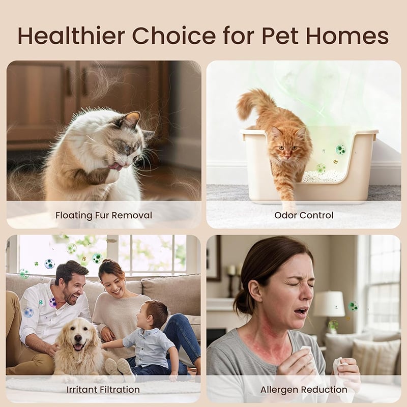 🔥2026 SALE - Home Pet Fur & Odor Removal Magic Box-CU