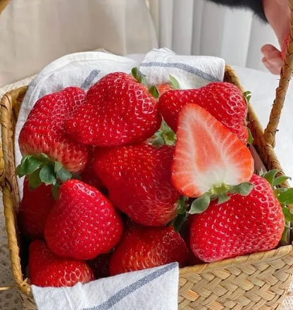 🏆70K+ SOLD!🍓Cream Strawberry Seeds -- Various shapes & Natural juices-CU