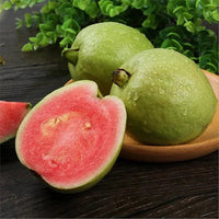 Red-hearted guava