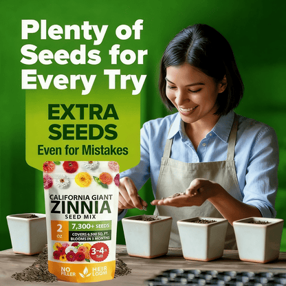🔥Zinnia Seeds - Pure Seeds - No Filler - Heirloom Flower Seeds