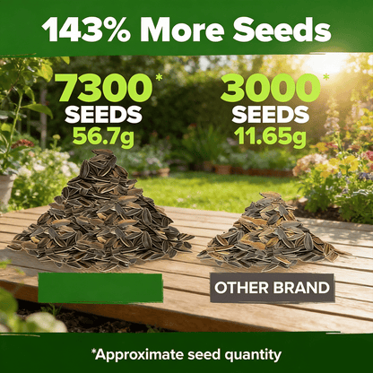 🔥Zinnia Seeds - Pure Seeds - No Filler - Heirloom Flower Seeds
