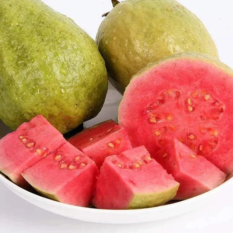 🔥70K+ SOLD!🌳LIMITED 70% OFF ⏰🌱Red-fleshed Guava for Home and Garden Planting-CU