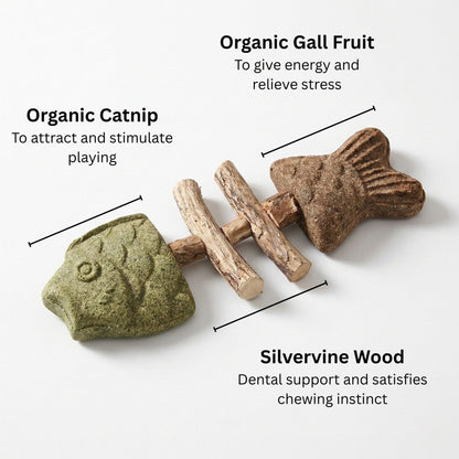 🐱 Catnip & Silvervine Chew Sticks – Natural Dental & Stress Relief for Cats-CU