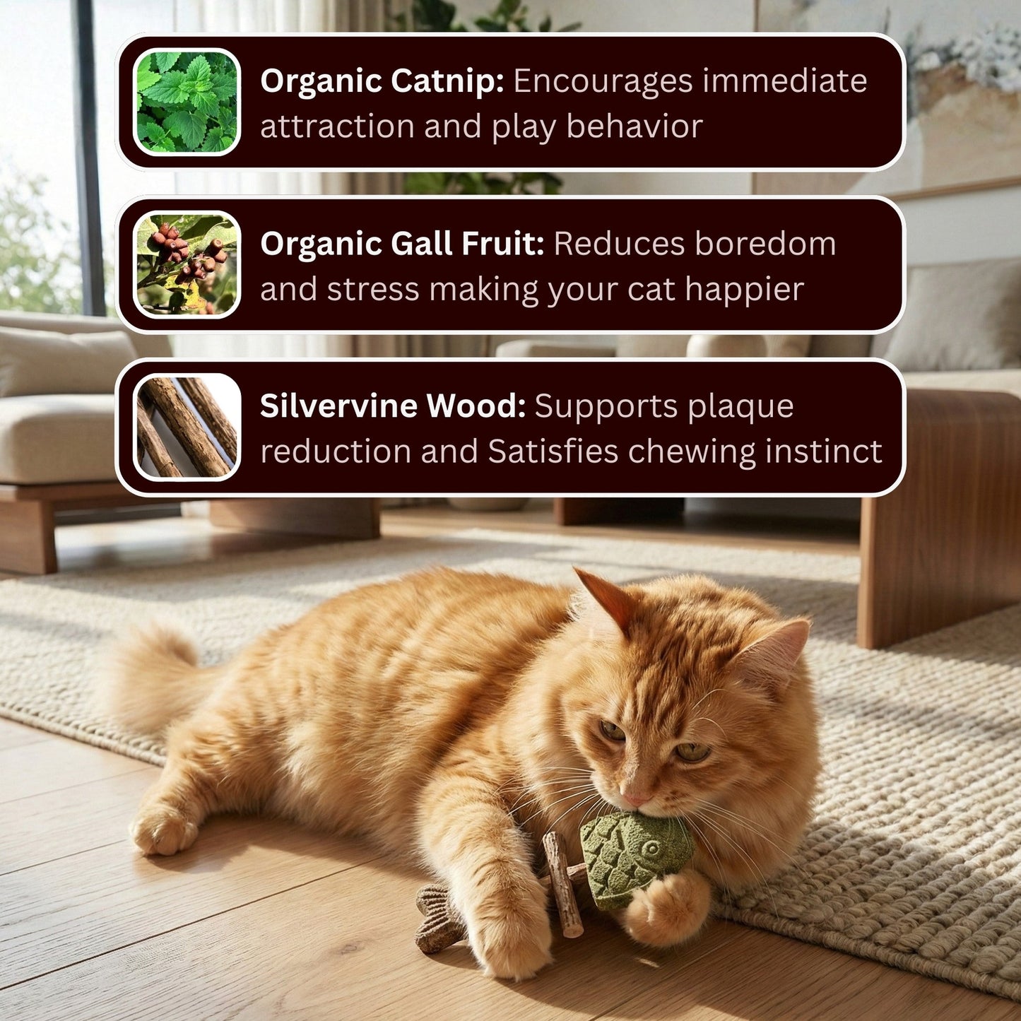 🐱 Catnip & Silvervine Chew Sticks – Natural Dental & Stress Relief for Cats-CU