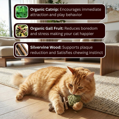 🐱 Catnip & Silvervine Chew Sticks – Natural Dental & Stress Relief for Cats-CU