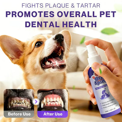 🔥Hot Sales 66% OFF🔥🔥 Pet Dental Care Spray – Fresh Breath & Easy Oral Care for Dogs & Cats 🐶🐱-CU