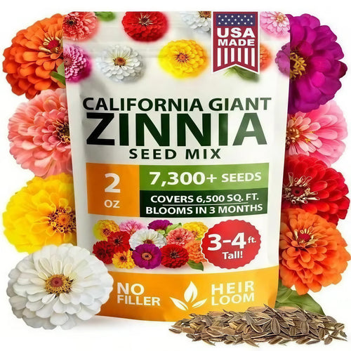 🌺Meet the Zinnia Seeds-the pure, filler-free seeds that turn a bare patch of soil into your own personal flower paradise-CU