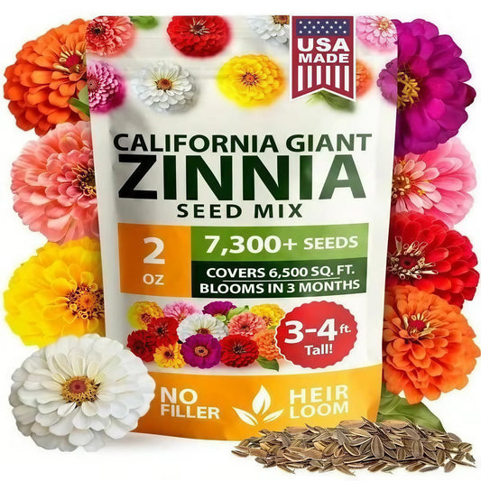 🌺Meet the Zinnia Seeds-the pure, filler-free seeds that turn a bare patch of soil into your own personal flower paradise-CU