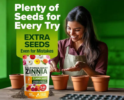 🌺Meet the Zinnia Seeds-the pure, filler-free seeds that turn a bare patch of soil into your own personal flower paradise-CU