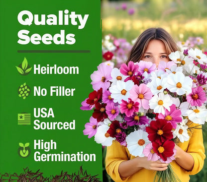 🌺Meet the Zinnia Seeds-the pure, filler-free seeds that turn a bare patch of soil into your own personal flower paradise-CU