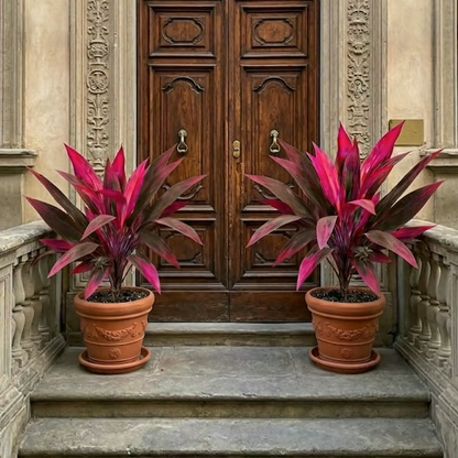 🔥Hot Sales 50% OFF🔥🔥 Artificial Tropical Plant-CU