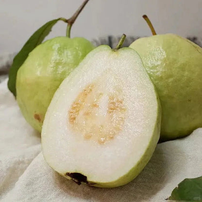 🔥70K+ SOLD!🌳LIMITED 70% OFF ⏰🌱Red-fleshed Guava for Home and Garden Planting-CU