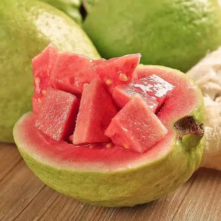 🔥70K+ SOLD!🌳LIMITED 70% OFF ⏰🌱Red-fleshed Guava for Home and Garden Planting-CU