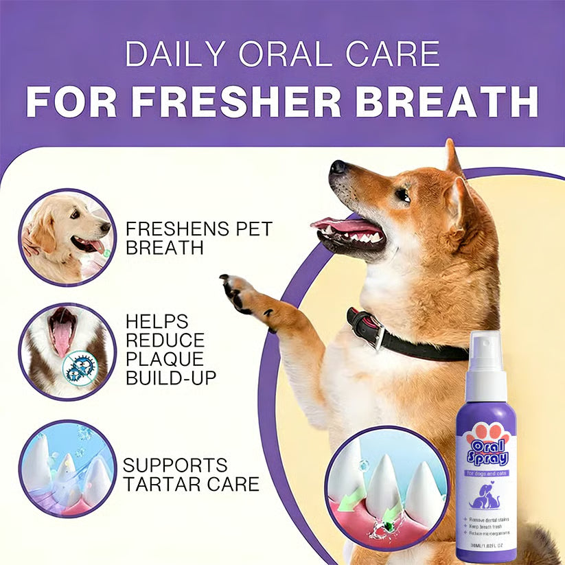 🔥Hot Sales 66% OFF🔥🔥 Pet Dental Care Spray – Fresh Breath & Easy Oral Care for Dogs & Cats 🐶🐱-CU
